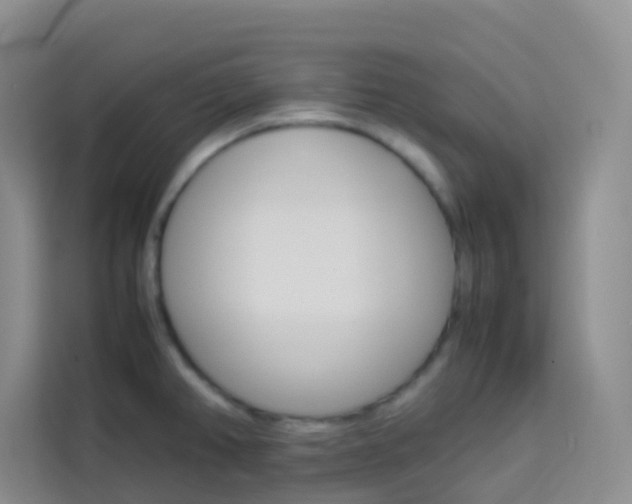 X0000114061382200910050947