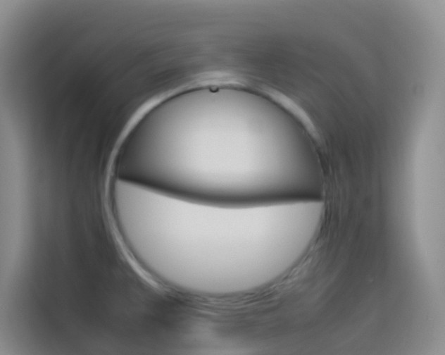 X0000114061383200910050947