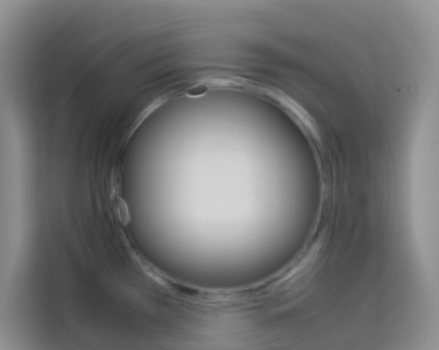 X0000114061385200910050947