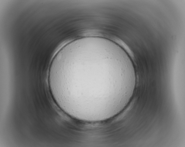 X0000114061386200910050947