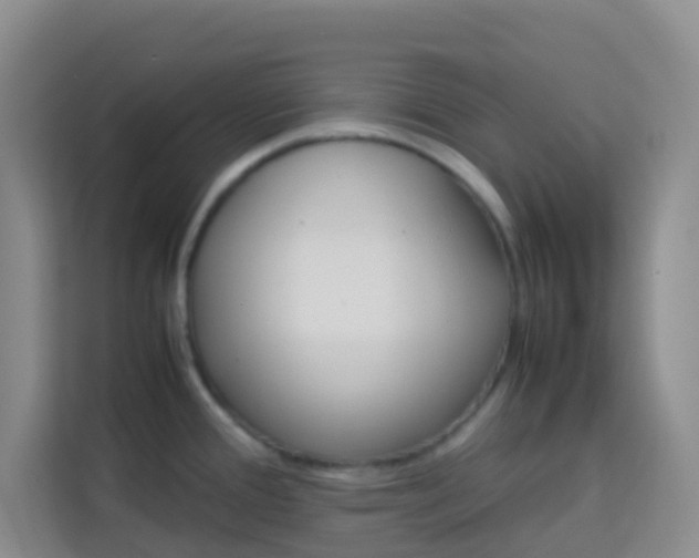 X0000114061388200910050947