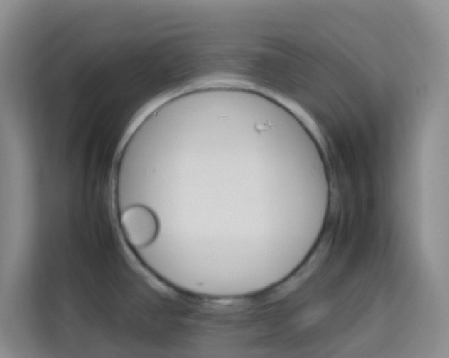 X0000114061390200910050947