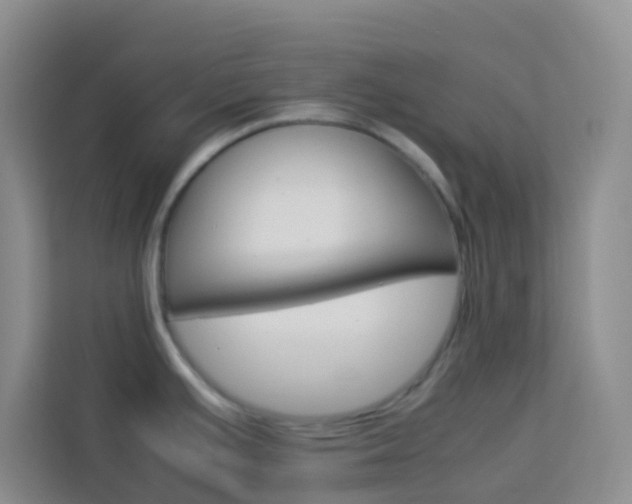 X0000114061391200910050947