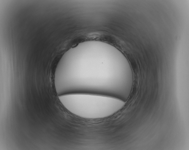 X0000114061394200910050946