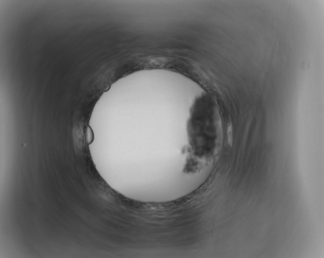 X0000114061395200910050946