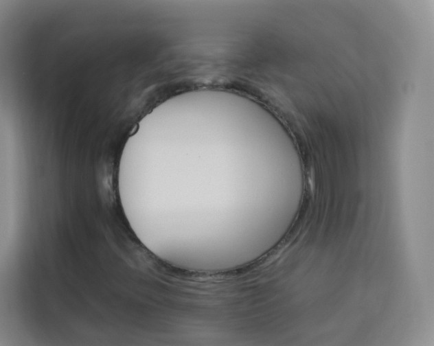 X0000114061396200910050946