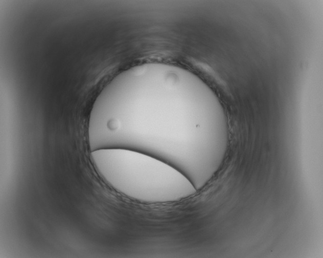 X0000114061399200910050946