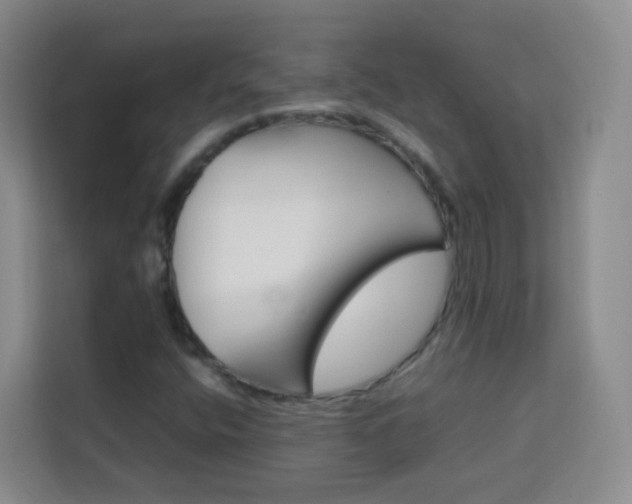 X0000114061400200910050946