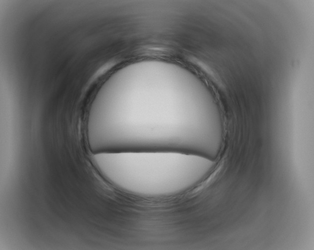 X0000114061402200910050946