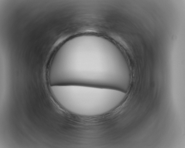 X0000114061404200910050946