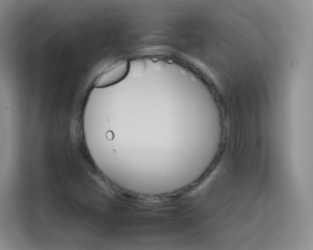 X0000114061405200910050946