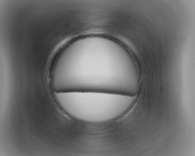 X0000114061406200910050946