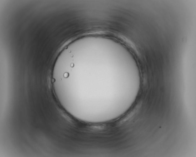 X0000114061409200910050946