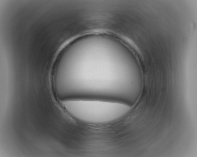 X0000114061412200910050946