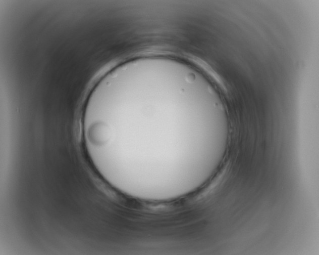 X0000114061413200910050946