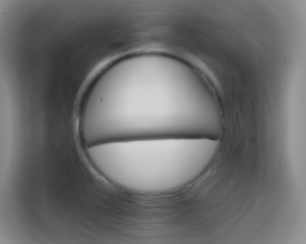 X0000114061416200910050946