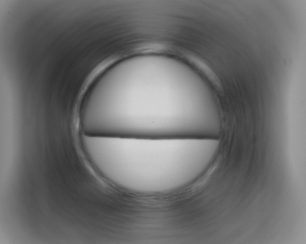 X0000114061418200910050946