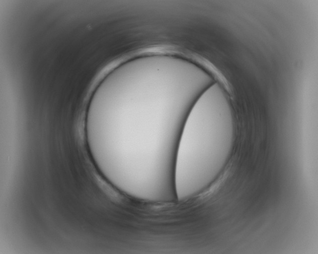 X0000114061421200910050946