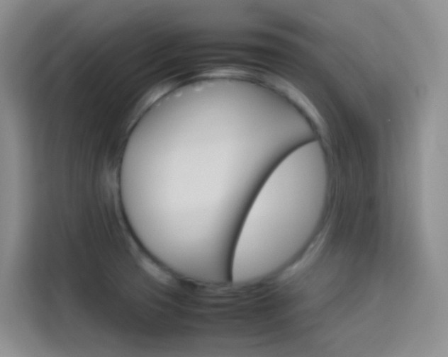 X0000114061425200910050946