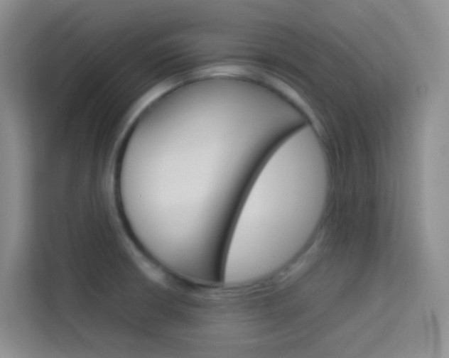 X0000114061426200910050946