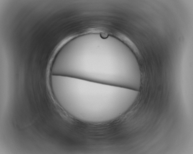 X0000114061427200910050946