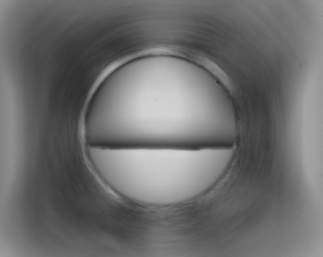 X0000114061428200910050946