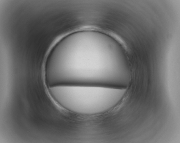 X0000114061430200910050946