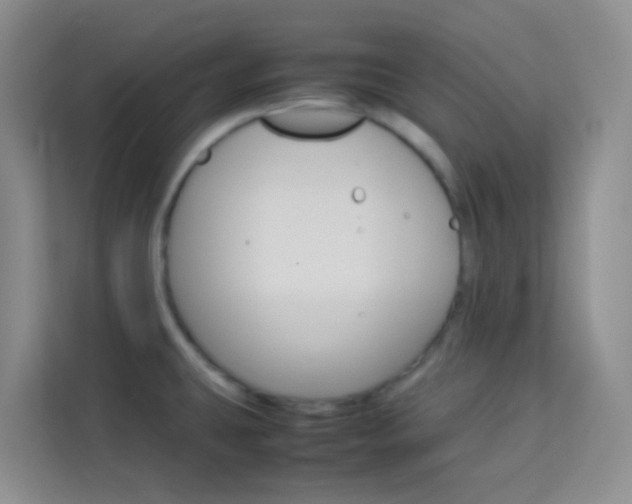 X0000114061431200910050946