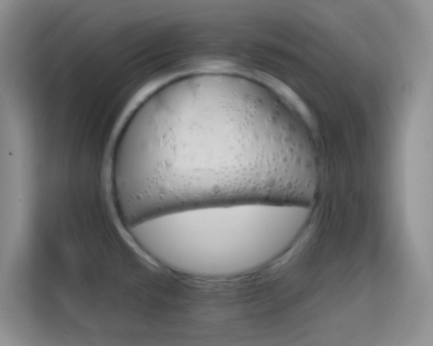 X0000114061432200910050946