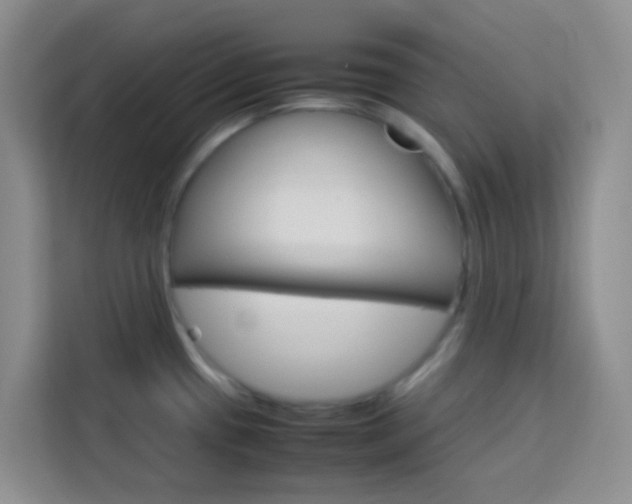 X0000114061433200910050946