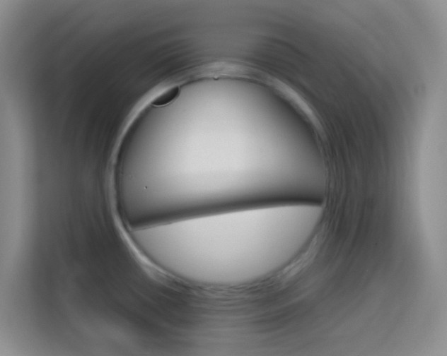 X0000114061434200910050946