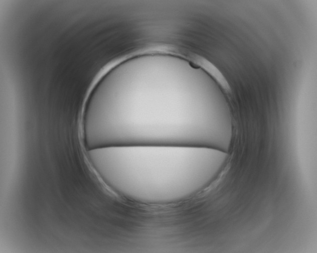 X0000114061436200910050946