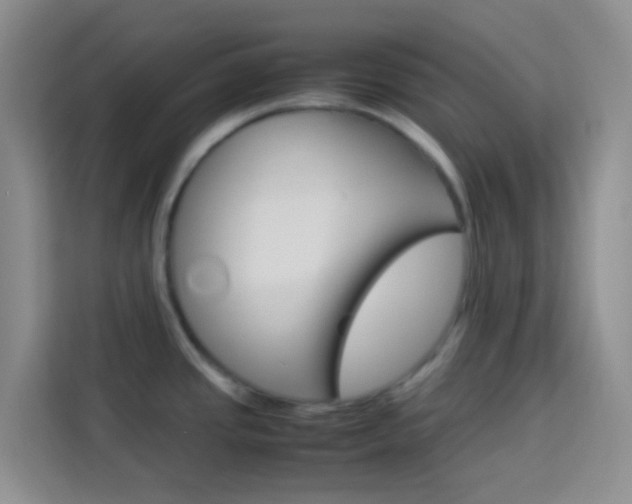 X0000114061437200910050946