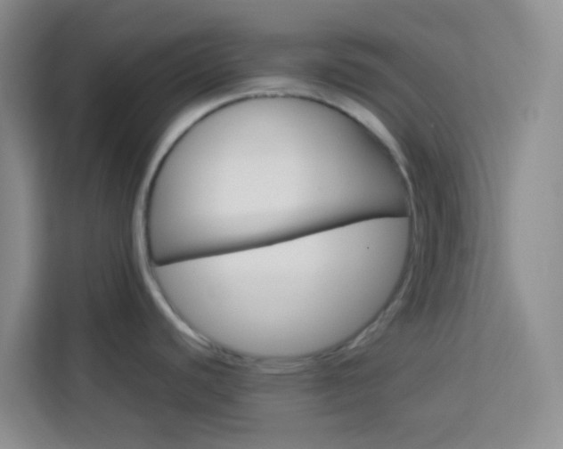 X0000114061440200910050947