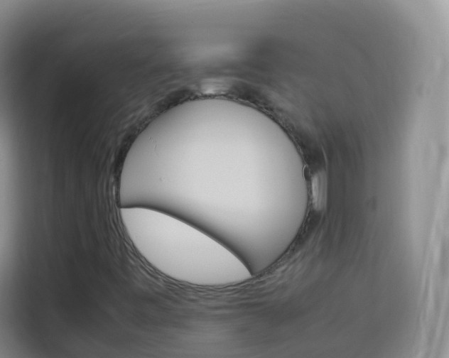 X0000114061443200910050946