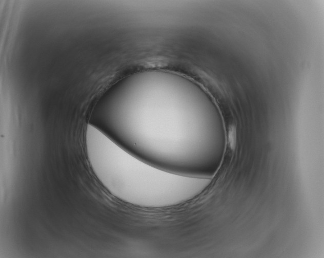X0000114061444200910050946