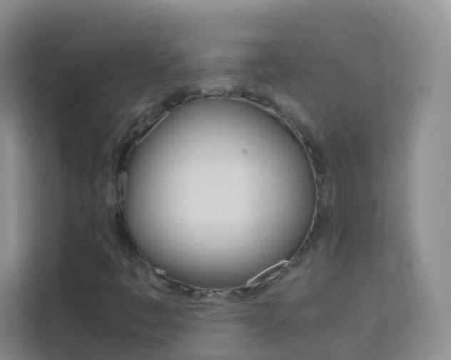 X0000114061445200910050946