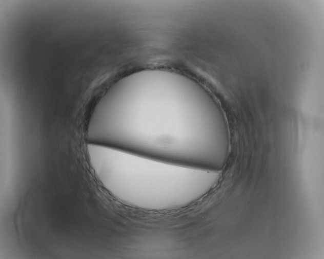 X0000114061447200910050946