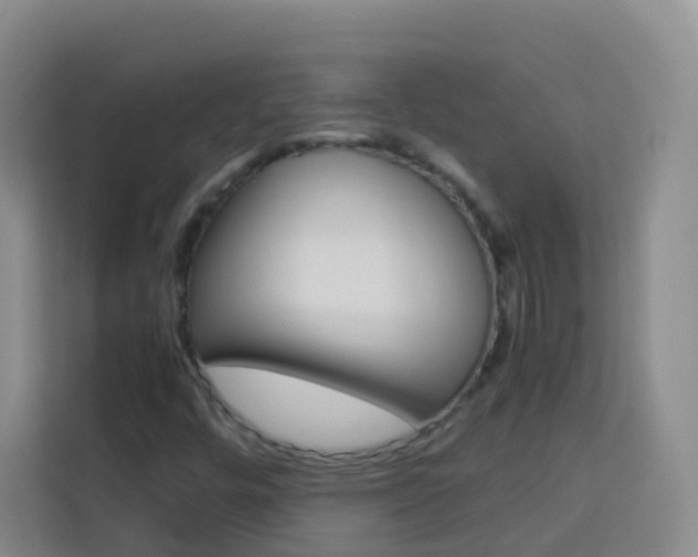 X0000114061448200910050946