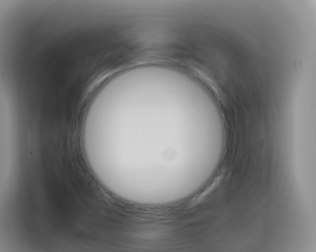 X0000114061453200910050946