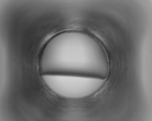 X0000114061455200910050946