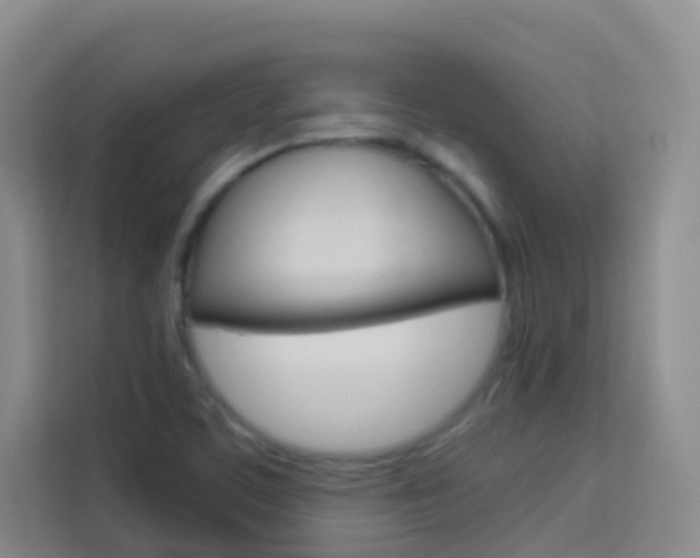 X0000114061459200910050946
