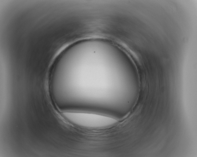 X0000114061460200910050946