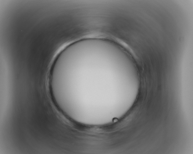 X0000114061463200910050946