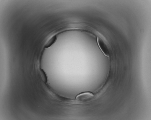 X0000114061465200910050946