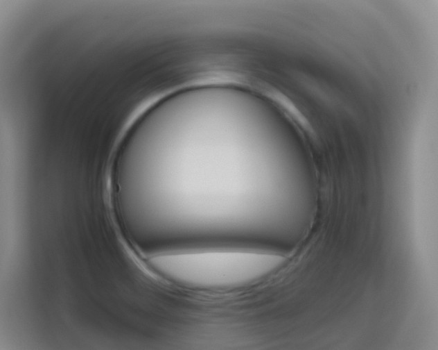 X0000114061468200910050946