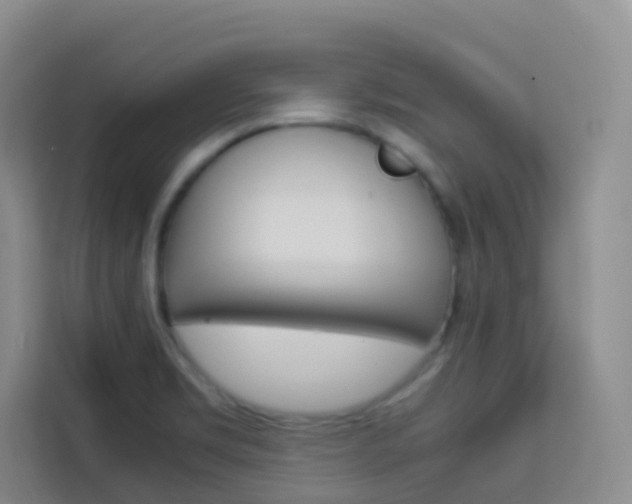 X0000114061469200910050946