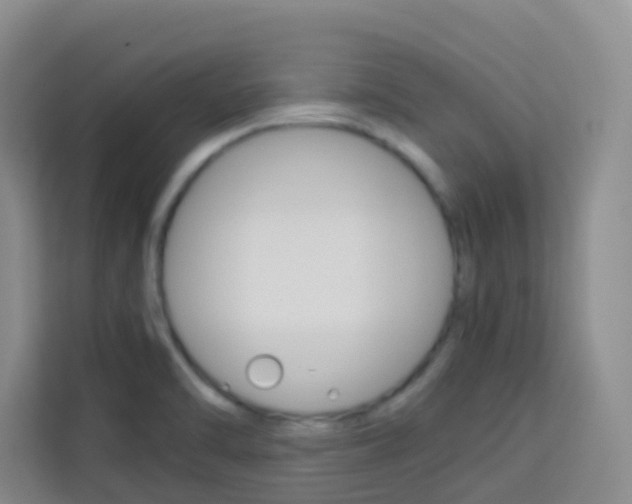X0000114061470200910050946