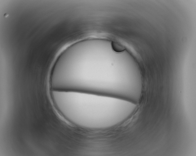 X0000114061471200910050945