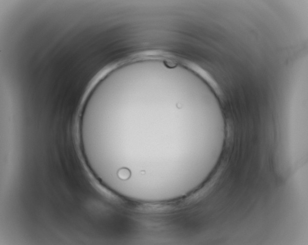 X0000114061474200910050945
